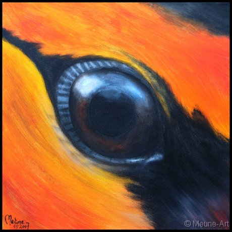 Augenblick eines Bullock-Oriole Acryl auf Leinwand;
30 x 30 cm